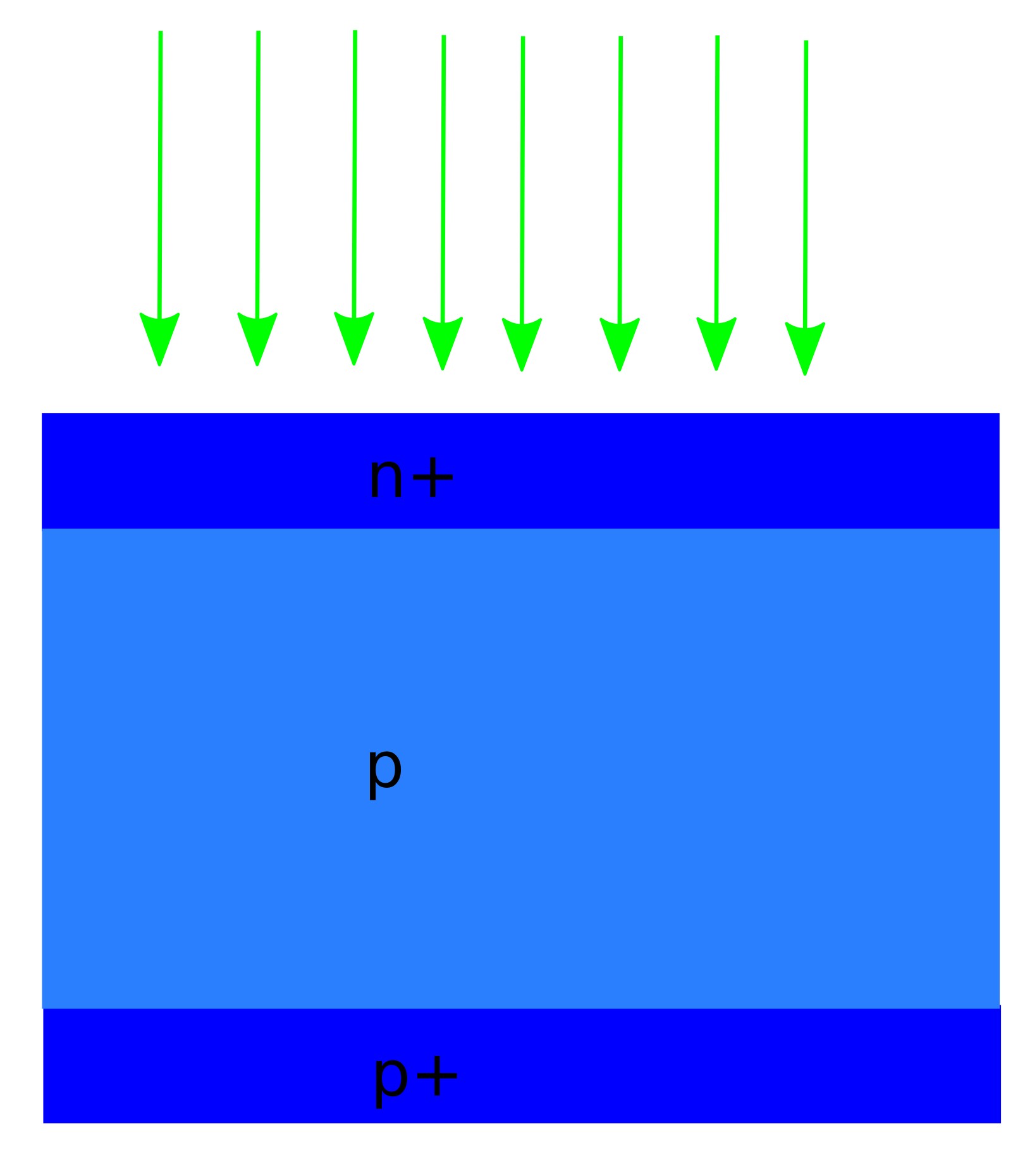 Cross-sectional schematic of a polycrystalline silicon solar cell with n+ emitter, p-type base, and p+ back-surface field